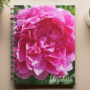 Search for peonies photography Floral
