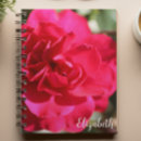 Search for hot photography Floral