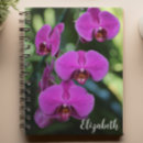 Search for orchid notebooks Photography