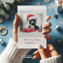 Search for sarcastic seasonal cards Cat