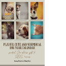 Search for playful calendars Cute