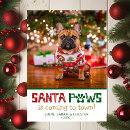 Search for santa paws christmas cards Humour