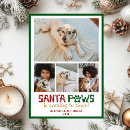 Search for santa paws cards Funny