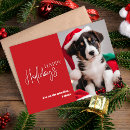 Search for naughty dog cards Red