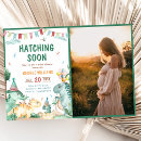 Search for brachiosaurus invitations Trex stegosaurus triceratops