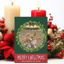 Search for dog christmas cards Festive