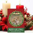 Search for dog christmas cards Festive