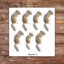 Search for cute chipmunk stickers Squirrel