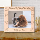 Search for cat picture frames Cute