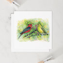 Search for scarlet cards Watercolor