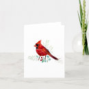 Search for red cardinals cards Northern red cardinal