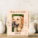 Search for dog memorial photo display Remembrance