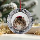 Search for pet photo christmas tree decorations Kitten