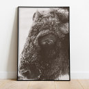 Search for american wildlife posters Animal