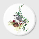 Search for nuthatch Songbird