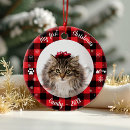 Search for pet photo christmas tree decorations Kitten