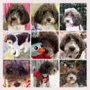 Search for doodle photography Cute