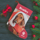 Search for pet christmas stockings Kids