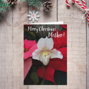 Search for lady slipper orchid postcards Floral