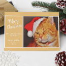 Search for cat family christmas cards Kitty