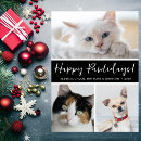 Search for canine christmas cards For pets