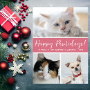 Search for funny dog and cat christmas cards Pet photo