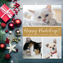 Search for comical christmas cards For pets