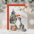 Search for bernese mountain dog christmas cards Snow