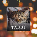 Search for pet memorials Forever in our hearts