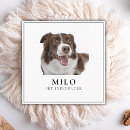 Search for pet instagram business cards Dog