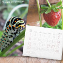 Search for twelve office supplies Family