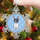 Search for black chihuahua Chiwawa