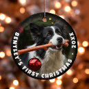 Search for adopt christmas tree decorations Puppy