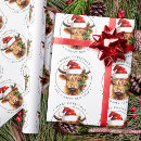 Search for highland cow christmas wrapping paper Farm animal