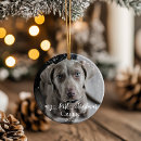 Search for dogs first christmas tree decorations Cat