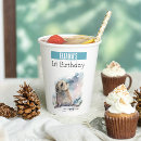 Search for seal paper plates 1st birthday