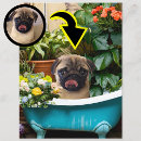 Search for first xmas postcards Cute