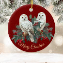 Search for snowy white owl christmas tree decorations Nature