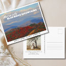 Search for carolina blue invitations Modern