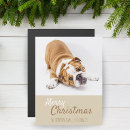 Search for british bulldog cards Puppy