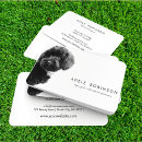 Search for poodle business cards Vet