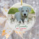 Search for dog christmas tree decorations Puppy