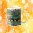 Search for wild turkeys mugs Nature
