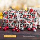 Search for bernese wrapping paper Pets