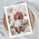 Search for canine christmas cards Funny