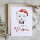 Search for white cat christmas cards Watercolor
