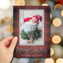 Search for buffalo check christmas cards Plaid