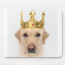 Search for friend dog electronics Animal