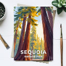 Search for sequoia national park postcards California