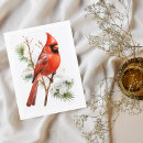 Search for cardinal postcards Winter bird